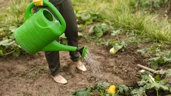 Záhrada už zaspáva, škodcovia ešte nie: toto neskoré jesenné ošetrenie im spoľahlivo zavrie cestu