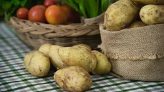 Toto dajte na zemiaky a vydržia vám až do jari: jednoduchý a účinný spôsob skladovania